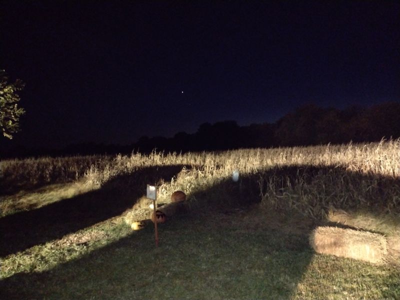 Corn Maze